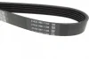 Ремінь генератора VW Caddy 1.9D/SDI -03 (WP,TP) DAYCO 6PK1035 (фото 2)