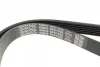 Ремінь генератора VW Caddy 1.9D/SDI -03 (WP,TP) DAYCO 6PK1035 (фото 3)