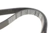 Ремінь генератора Ford Focus 1.4i 98-01 DAYCO 6PK1042EE (фото 3)