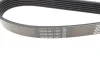 Ремінь генератора Renault Laguna 2.0 95-01 DAYCO 6PK1240 (фото 2)