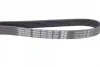 Ремінь генератора VW Golf IV 2.3-3.2 i 99-05(1260mm) DAYCO 6PK1260 (фото 2)