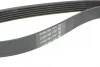 Ремінь генератора Citroen Jumper 1.9TD 94-02 (ALT,PS,AC) DAYCO 6PK1705 (фото 3)