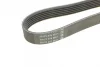 Ремінь генератора VW LT 2.5TDI 96-01/Peugeot Expert 1.9D/2.0HDI 98- DAYCO 6PK1755 (фото 3)
