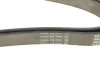 Ремінь генератора MB W202/203/VW/Audi 2.4/2.8i DAYCO 6PK1760 (фото 4)