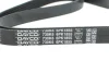 Ремінь генератора MB G-class (W461) M102 89-00 DAYCO 6PK1855 (фото 3)