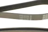 Ремінь генератора Jeep Cherokee/Liberty 2.5/2.8 CRD 01- DAYCO 6PK2870 (фото 4)
