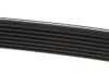 Ремінь генератора Renault Kangoo/Megane III/Scenic III 1.2TCe 12- DAYCO 7PK1569 (фото 3)