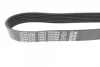 Ремінь генератора MB E-class (W212)/S-class (W221) 09- DAYCO 7PK2005 (фото 3)