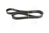 Ремінь генератора Land Rover/Toyota Land Cruiser 120 4.0i/4.6 94- DAYCO 7PK2119 (фото 3)