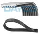 Ремінь генератора BMW 5 (G30/F90)/X3 (G01/F97) 16- B47 (8PK1162) DAYCO 8PK1162H (фото 1)