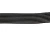 Ремінь генератора BMW 5 (F10)/ X5 (F15/F85) 3.5i/4.0i 09- DAYCO 8PK1478 (фото 4)