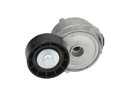 Натяжник ременя генератора Citroen Berlingo/C4/Peugeot 307 1.6 16V 08- DAYCO APV2556