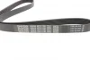 Комплект ременя генератора Fiat Punto 1.3D 03-12/Panda 04-/Ford KA 1.3TDCi 08-16 DAYCO KPV276 (фото 2)