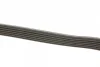 Комплект ременя генератора Ford Galaxy 2.0D 06-15 DAYCO KPV504 (фото 2)