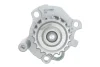 Комплект ГРМ + помпа Skoda Octavia/VW Golf IV 1.9 TDI/SDI 96-05 (25x141z) DAYCO KTBWP4290 (фото 8)