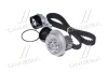 Комплект ГРМ + помпа Daewoo Nubira/Chevrolet Aveo/Lacetti 1.4/1.6 97- (25,4x127z) DAYCO KTBWP5590 (фото 2)