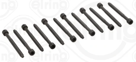 Болти головки (к-кт 12шт.) VW Jetta/Audi A3/Q3/TT 2.5 05- (M10x1.5x117) 005.610 ELRING 005-610
