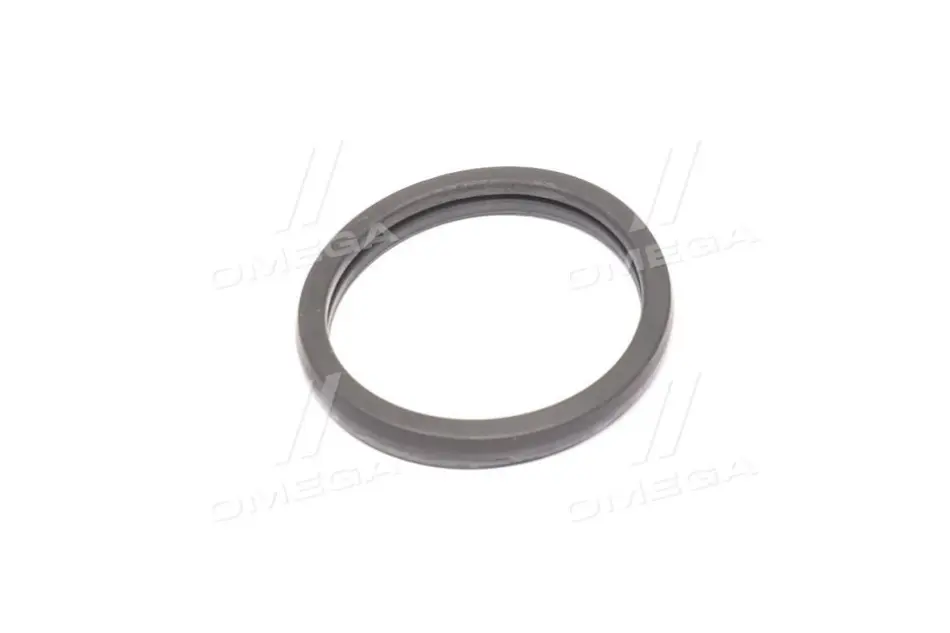 Прокладка термостата Ford Transit 2.0-2.4 00-06 027.450 ELRING 027-450 (фото 1)
