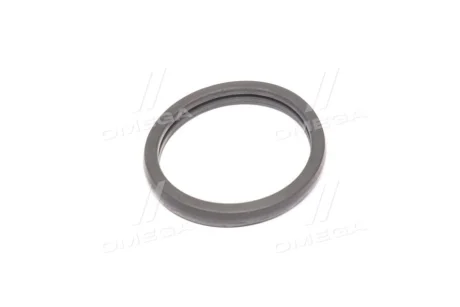 Прокладка термостата Ford Transit 2.0-2.4 00-06 027.450 ELRING 027-450