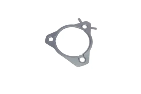 Прокладка насосу паливного Ford Connect 1.8Di/TDCI 02- 028.211 ELRING 028-211