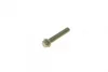 Болт кріплення кришки шатуна VW Caddy III/IV/T6 04- (M8x1) 039.000 ELRING 039-000 (фото 1)