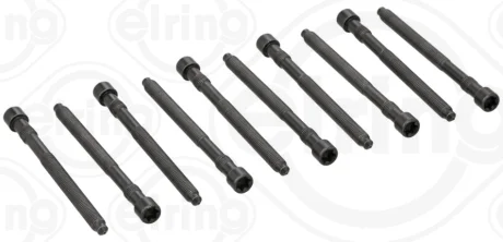 Болти головки (к-кт 10шт.) VW Passat 2.0i 01-05 057.410 ELRING 057-410
