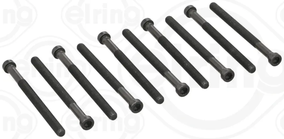 Болти головки (к-кт 10шт.) Audi A4/A5/A6/A8/Q7/Skoda Superb/VW Passat/Touareg 2.5-3.0TDI 00- 130.120 ELRING 130-120 (фото 1)