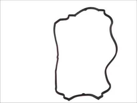Прокладка кришки клапанів Renault Kangoo/Twingo 1.2 16V 01- 194.020 ELRING 194-020