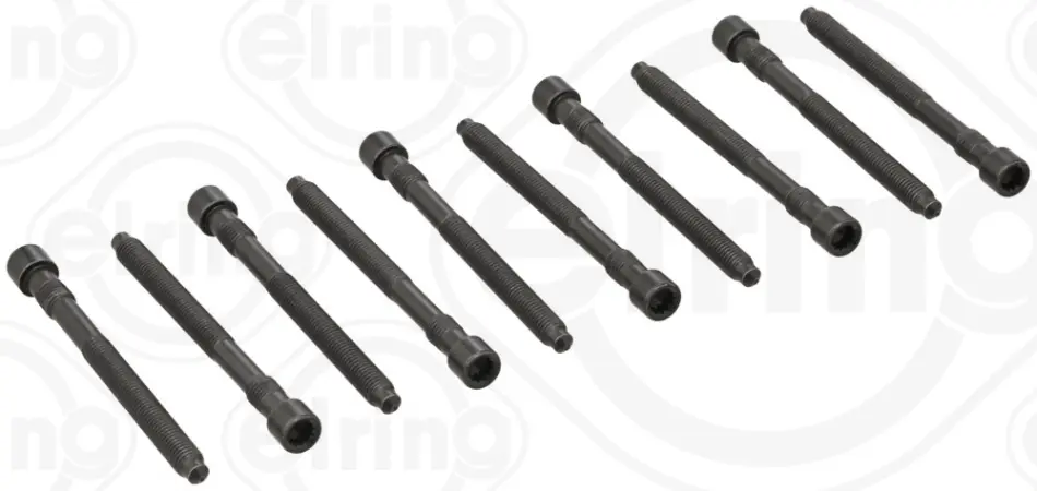 Болти головки (к-кт 10шт.) Audi A4/A6/A8/VW Touareg 3.7/4.2 98-08 215.000 ELRING 215-000 (фото 1)