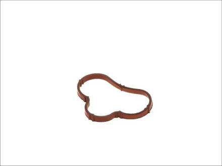 Прокладка колектора впускного Citroen Jumpy/Peugeot Expert 2.0i 00-06 216.500 ELRING 216-500