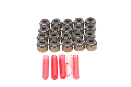 Сальник клапана (впуск/випуск) VW Passat 96-05 (к-кт 20шт) 235.620 ELRING 235-620