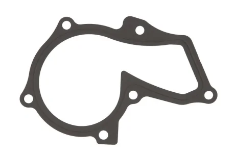 Прокладка помпи води Ford Transit Connect 1.6 EcoBoost 13- 264.420 ELRING 264-420