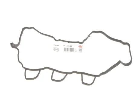 Прокладка кришки клапанів Dacia Dokker/Renault Megane III/Kangoo 1.5dCi 07- 310.220 ELRING 310-220
