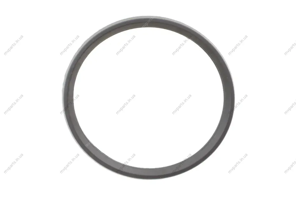 Прокладка термостата Renault Duster/Megane IV 1.6 SCe 15- (50.50x58x6) (кільце) 310.490 ELRING 310-490 (фото 1)