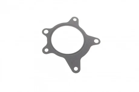 Прокладка помпи води Hyundai Elantra/Tucson 1.6 CRDi 06- 316.180 ELRING 316-180