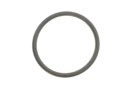 Прокладка термостата Opel (48.5x56.5x4) 330.876 ELRING 330-876