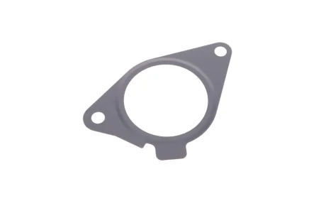Прокладка клапана EGR BMW 3 (F30/F80)/5 (F10/G30/F90)/7 (G11/G12) 11- B47 D20 380.070 ELRING 380-070