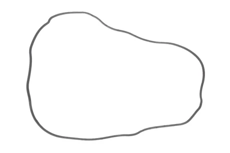 Прокладка кришки клапанів Lexus GS/RX/Toyota Rav4 3.5 06- (L) 452.940 ELRING 452-940