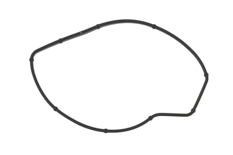 Прокладка помпи води Porsche Cayenne 3.6/4.8 GTS 07- 475.360 ELRING 475-360