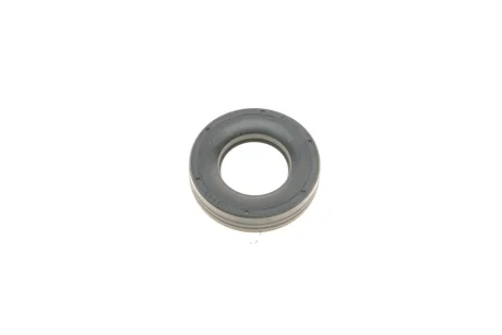 Кільце ущільнювальне свічкового колодязя Mini (R50/R52/R53) 01-08 485.920 ELRING 485-920