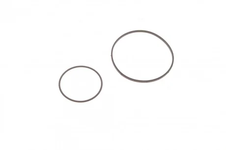 Прокладка насосу вакуумного BMW 3 (E46/E90)/5 (E60) 1.8/2.0 01-11 522.900 ELRING 522-900