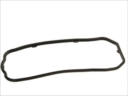 Прокладка піддону Iveco Daily/Fiat Ducato 3.0 06- 548.200 ELRING 548-200