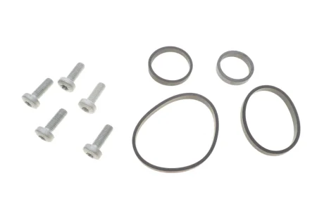 Прокладка радіатора масляного VW T5 2.5TDI 03-09 (к-кт) 558.350 ELRING 558-350