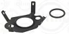 Комплект прокладок, система EGR PSA 2,0/2,2 HDi DW10/DW12 (вир-во Elring) ELRING 565-430 (фото 1)