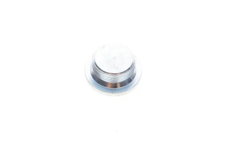 Болт зливу оливи Audi 100/A6/A8 88- 589.770 ELRING 589-770