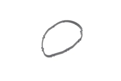 Прокладка термостата BMW 3 (F30/F80/G20/G80/G28)/5 (F10/G30/F90)/7 (G11/G12) 13- B47/N47 648.240 ELRING 648-240