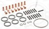 Комплект прокладок турбіни BMW X3 (F25)/X5 (E70/F15/F85)/X6 (E71/E72/X16/X86) 10-18 N55 B30 648.550 ELRING 648-550 (фото 1)