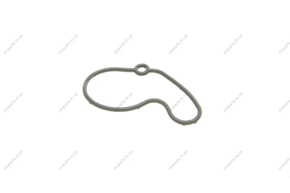 Прокладка насосу вакуумного VW Golf IV/Caddy II95-/Skoda Fabia 1.9SDI/TDI 95-07 717.220 ELRING 717-220 (фото 1)