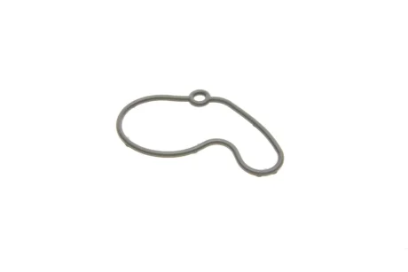 Прокладка насосу вакуумного VW Golf IV/Caddy II95-/Skoda Fabia 1.9SDI/TDI 95-07 717.220 ELRING 717-220