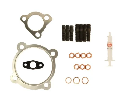 Комплект прокладок турбіни VW Golf IV 1.8 T 97-06 717.951 ELRING 717-951